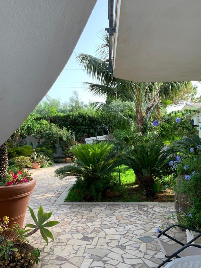 Holiday Home Mediterraneo マルサラ エクステリア 写真